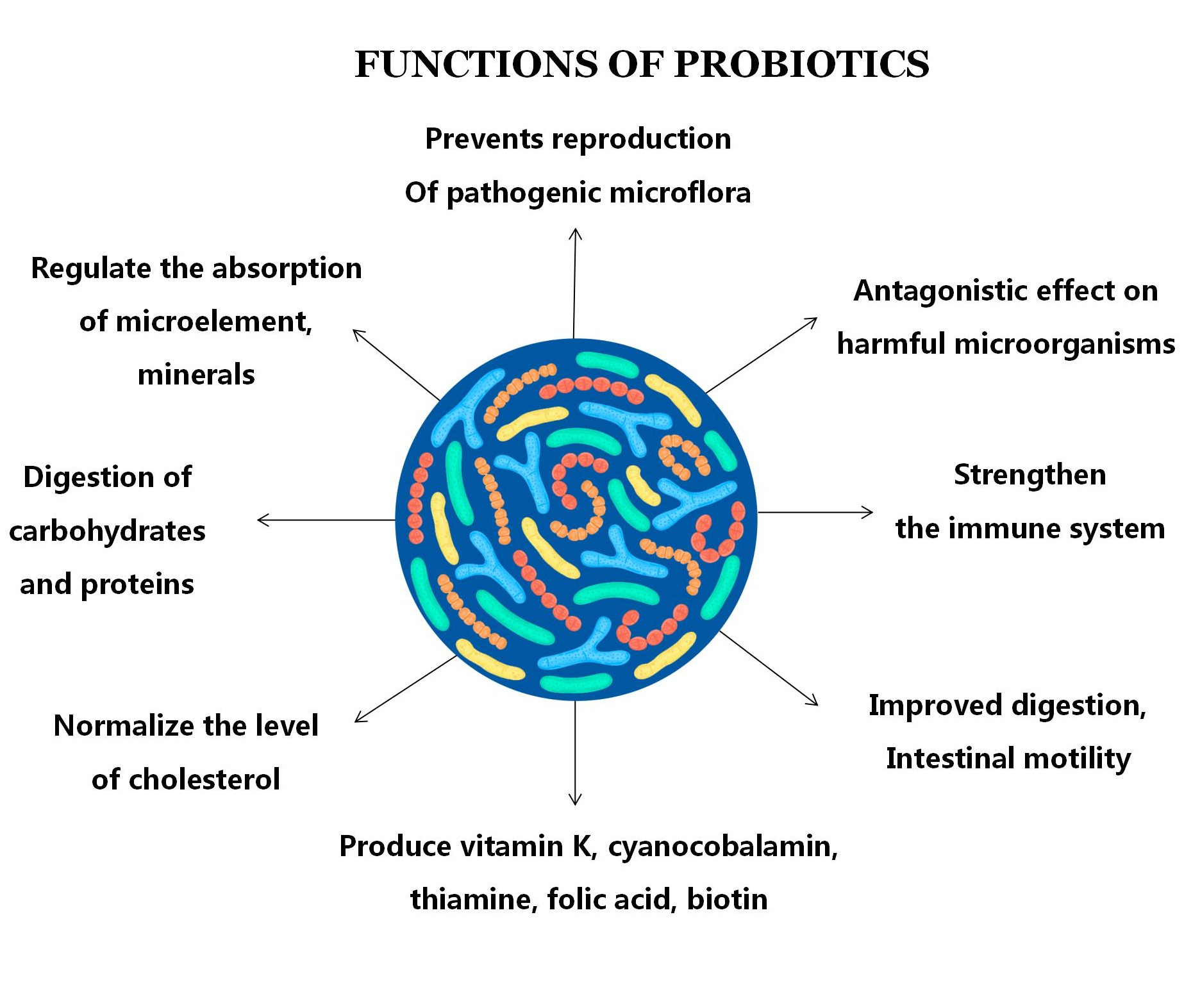 Human Premix Probiotics Powder Reduce Infection for Children And Infant