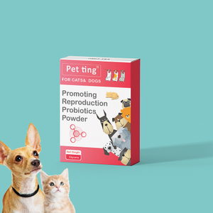 Multistrain Mixed Probiotic Powder To Promote Reproduction for Pets